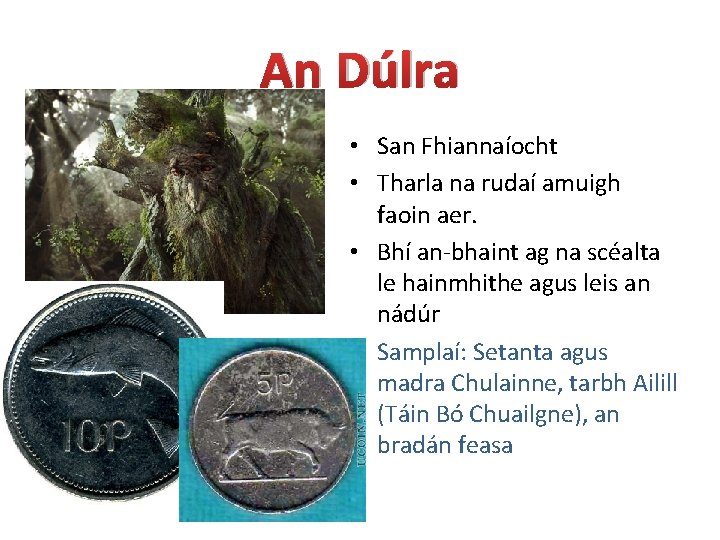 An Dúlra • San Fhiannaíocht • Tharla na rudaí amuigh faoin aer. • Bhí