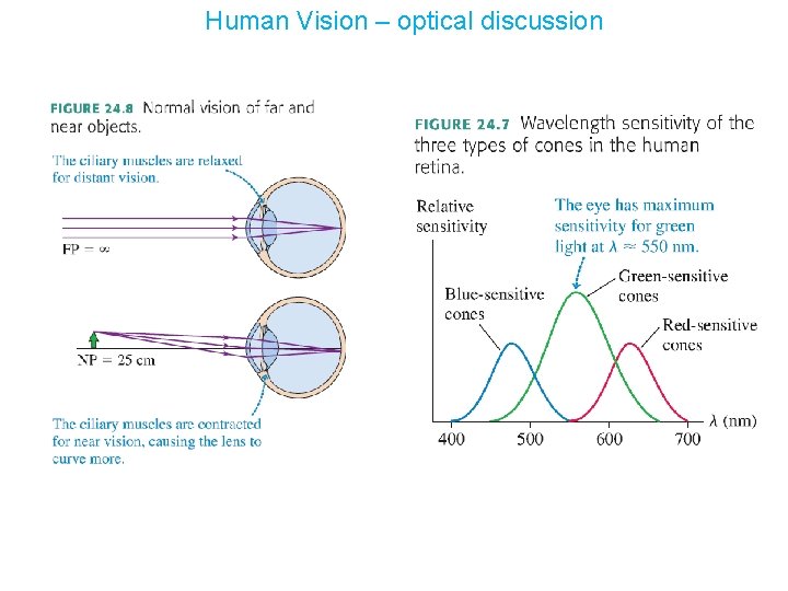 Human Vision – optical discussion 