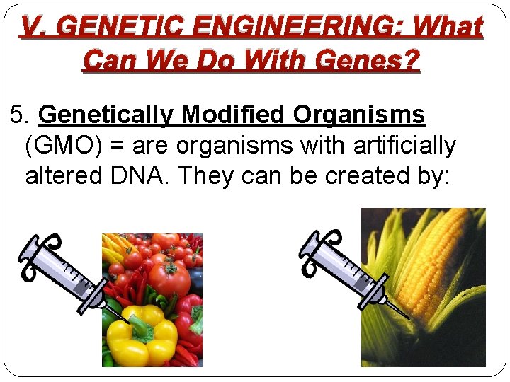 V. GENETIC ENGINEERING: What Can We Do With Genes? 5. Genetically Modified Organisms (GMO)