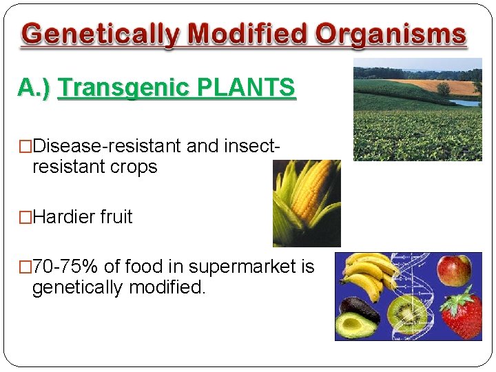 A. ) Transgenic PLANTS �Disease-resistant and insect- resistant crops �Hardier fruit � 70 -75%