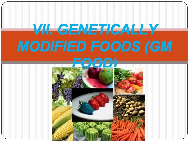 VII. GENETICALLY MODIFIED FOODS (GM FOOD) 