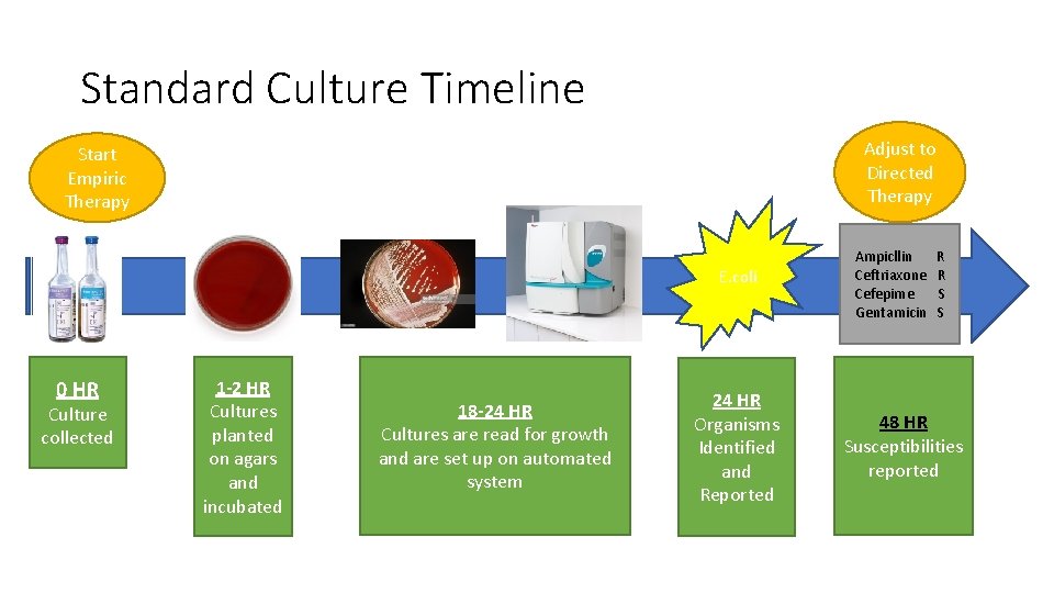 Standard Culture Timeline Adjust to Directed Therapy Start Empiric Therapy E. coli 0 HR