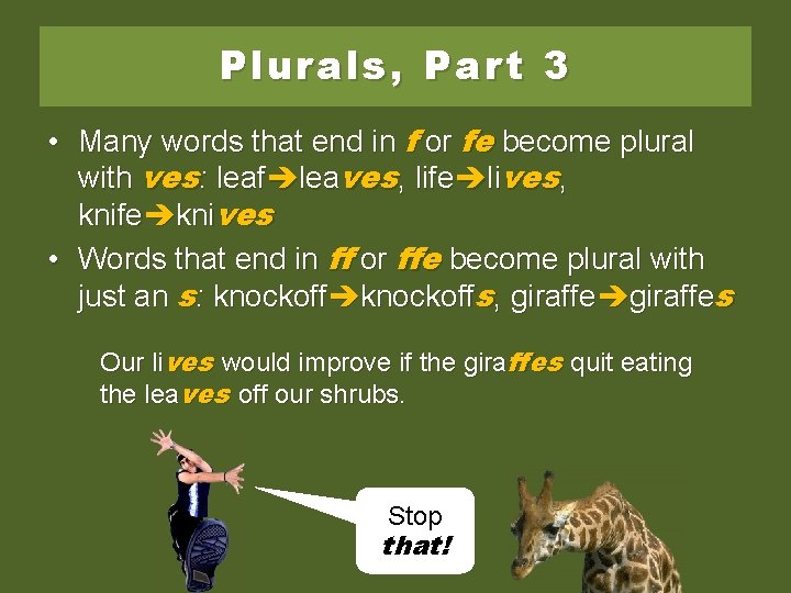 Plurals, Part 3 • Many words that end in f or fe become plural