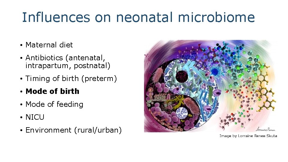 Influences on neonatal microbiome • Maternal diet • Antibiotics (antenatal, intrapartum, postnatal) • Timing