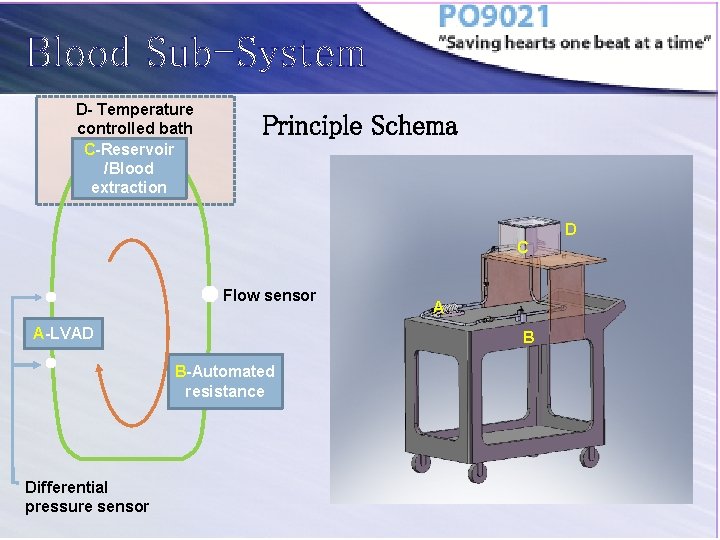 Blood Sub-System D- Temperature controlled bath C-Reservoir /Blood extraction Principle Schema D C Flow
