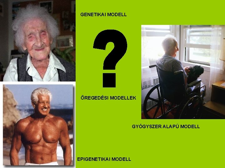 GENETIKAI MODELL ÖREGEDÉSI MODELLEK GYÓGYSZER ALAPÚ MODELL EPIGENETIKAI MODELL 