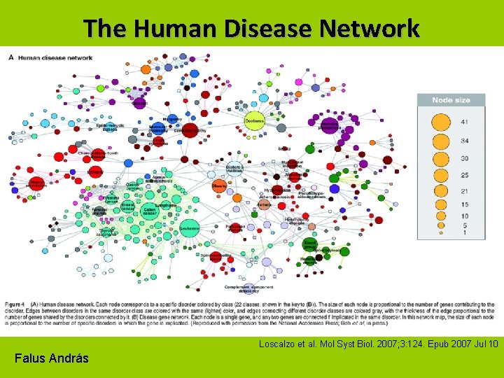 The Human Disease Network Loscalzo et al. Mol Syst Biol. 2007; 3: 124. Epub