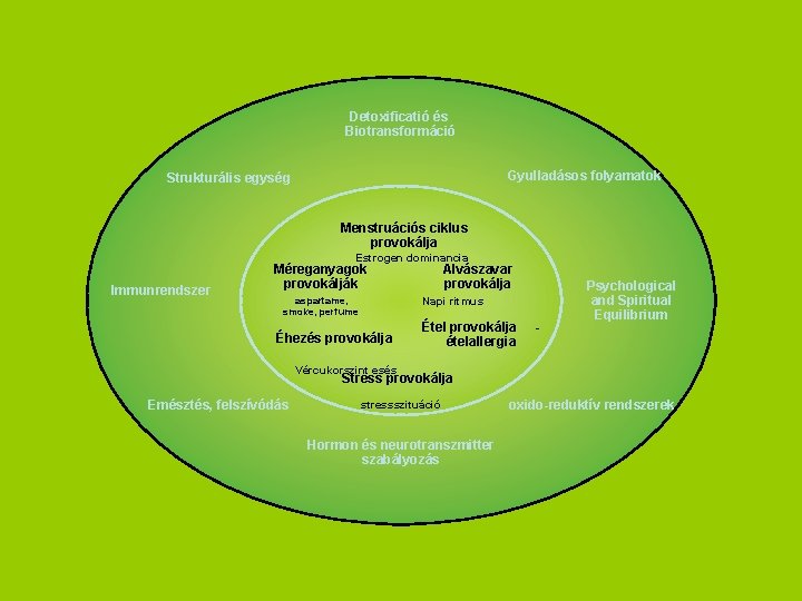 Detoxificatió és Biotransformáció Gyulladásos folyamatok Strukturális egység Menstruációs ciklus provokálja Estrogen dominancia Immunrendszer Méreganyagok