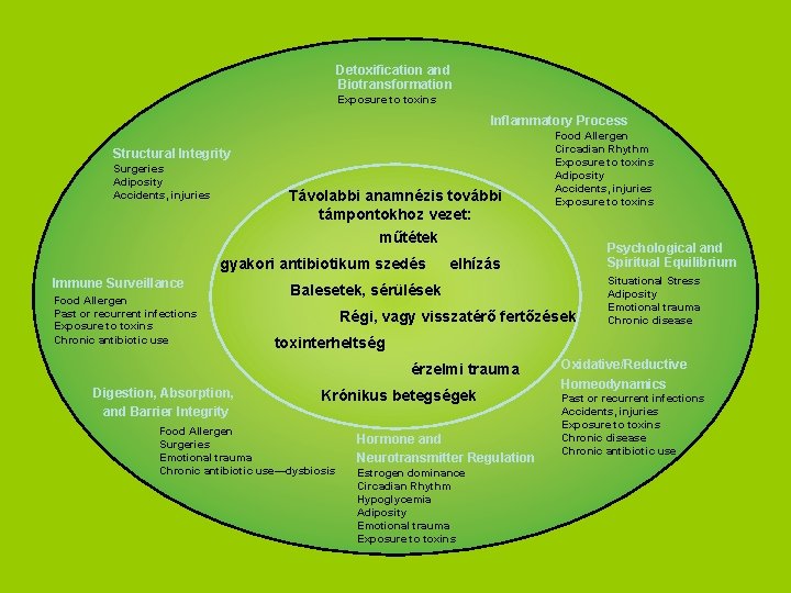 Detoxification and Biotransformation Exposure to toxins Inflammatory Process Structural Integrity Surgeries Adiposity Accidents, injuries