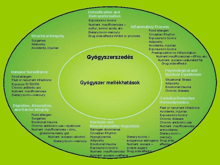 Detoxification and Biotransformation Exposure to toxins Nutrient insufficiencies – Inflammatory Process sulfur, amino acids,