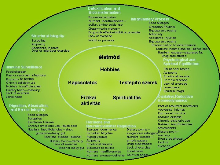 Detoxification and Biotransformation Structural Integrity Surgeries Adiposity Accidents, injuries Over or improper exercise Exposure