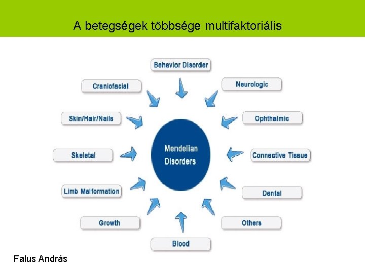 A betegségek többsége multifaktoriális Falus András 