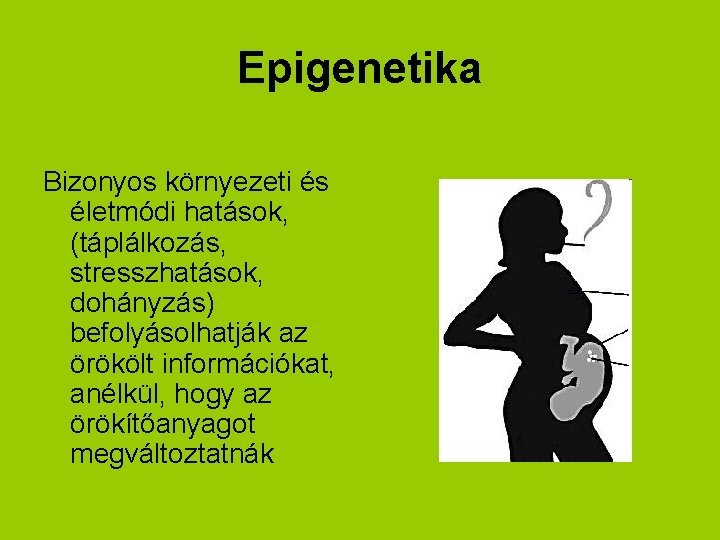 Epigenetika Bizonyos környezeti és életmódi hatások, (táplálkozás, stresszhatások, dohányzás) befolyásolhatják az örökölt információkat, anélkül,