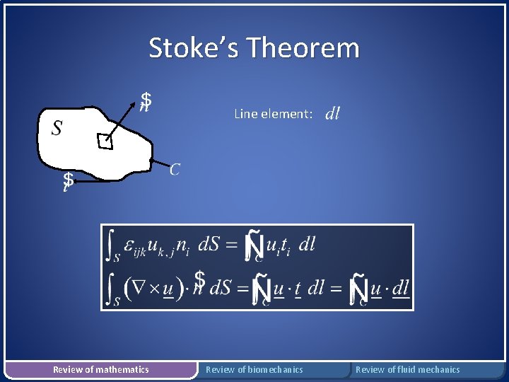 Stoke’s Theorem Line element: Review of mathematics Review of biomechanics Review of fluid mechanics