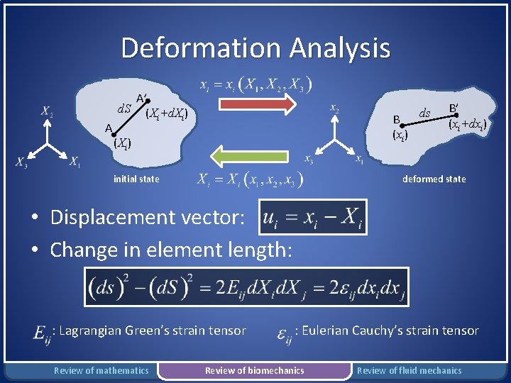 Deformation Analysis A A’ d. S (X +d. X ) i i B (xi)