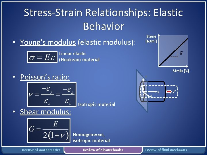 Stress-Strain Relationships: Elastic Behavior • Young’s modulus (elastic modulus): Stress (N/m 2) Linear elastic