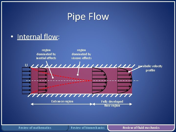 Pipe Flow • Internal flow: region dominated by inertial effects region dominated by viscous
