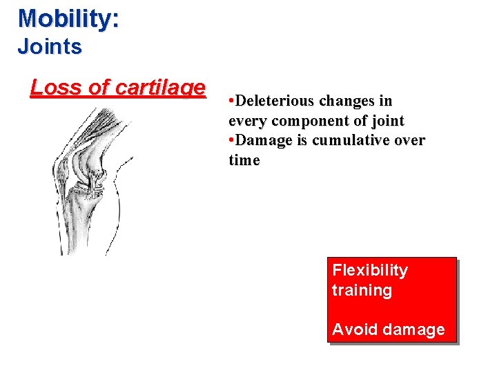 Mobility: Joints Loss of cartilage • Deleterious changes in every component of joint •