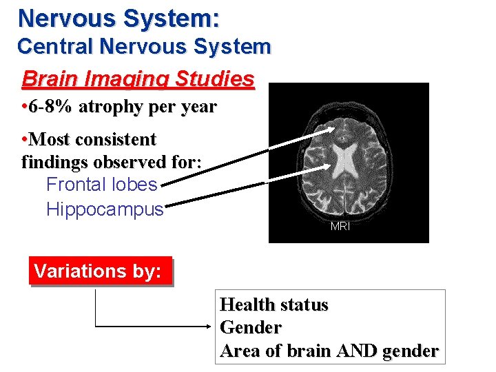 Nervous System: Central Nervous System Brain Imaging Studies • 6 -8% atrophy per year