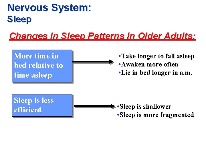 Nervous System: Sleep Changes in Sleep Patterns in Older Adults: More time in bed