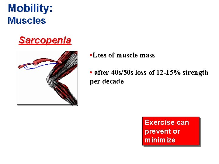 Mobility: Muscles Sarcopenia • Loss of muscle mass • after 40 s/50 s loss