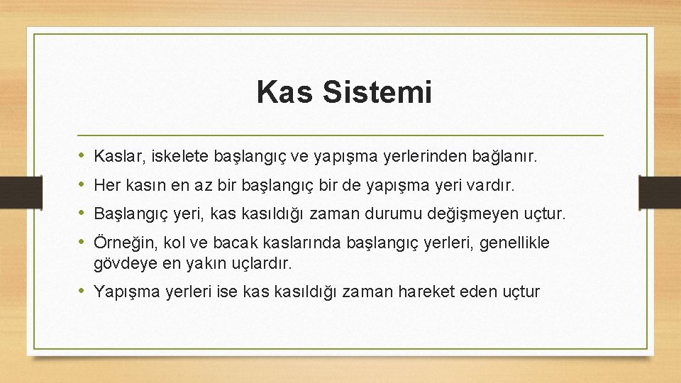 Kas Sistemi • • Kaslar, iskelete başlangıç ve yapışma yerlerinden bağlanır. Her kasın en