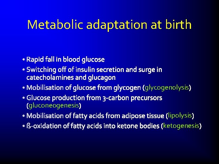 Metabolic adaptation at birth glycogenolysis gluconeogenesis lipolysis ketogenesis 