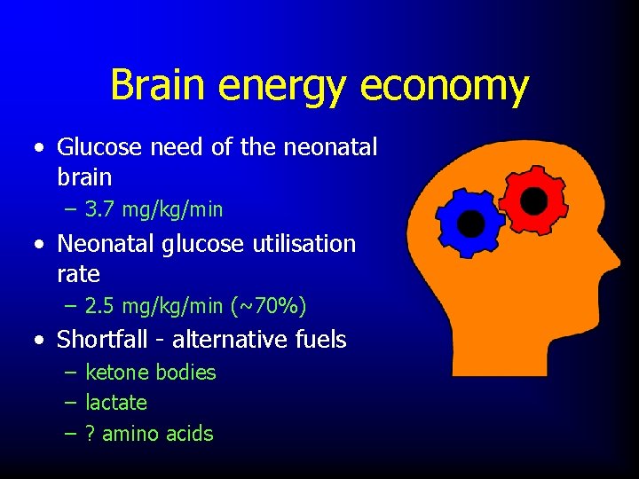 Brain energy economy • Glucose need of the neonatal brain – 3. 7 mg/kg/min