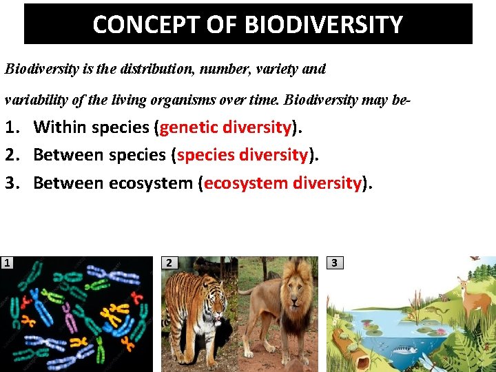 CONCEPT OF BIODIVERSITY Biodiversity is the distribution, number, variety and variability of the living