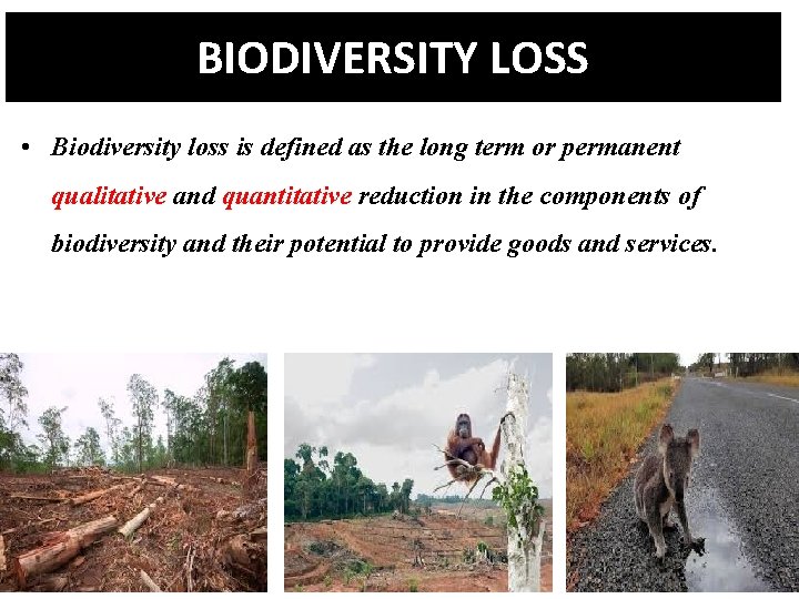BIODIVERSITY LOSS • Biodiversity loss is defined as the long term or permanent qualitative