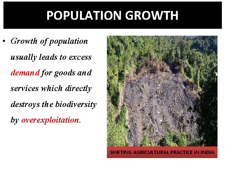 POPULATION GROWTH • Growth of population usually leads to excess demand for goods and