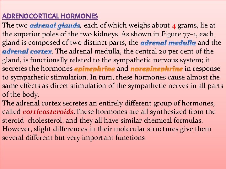 ADRENOCORTICAL HORMONES The two , each of which weighs about 4 grams, lie at