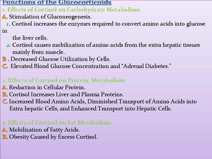 1. Effects of Cortisol on Carbohydrate Metabolism A. Stimulation of Gluconeogenesis. 1. Cortisol increases