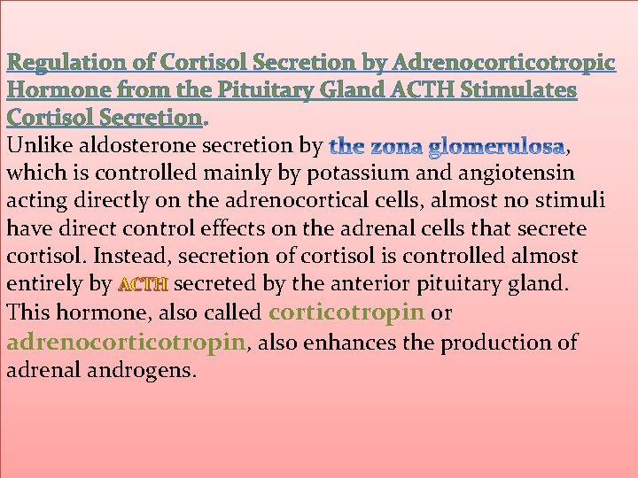 Regulation of Cortisol Secretion by Adrenocorticotropic Hormone from the Pituitary Gland ACTH Stimulates Cortisol