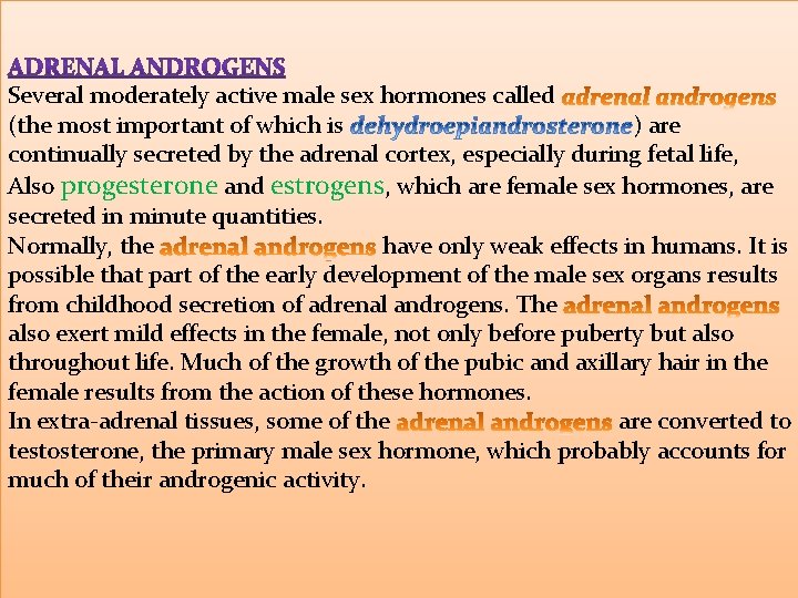 Several moderately active male sex hormones called (the most important of which is )