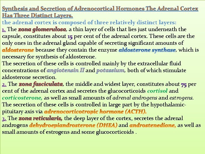 Synthesis and Secretion of Adrenocortical Hormones The Adrenal Cortex Has Three Distinct Layers. the