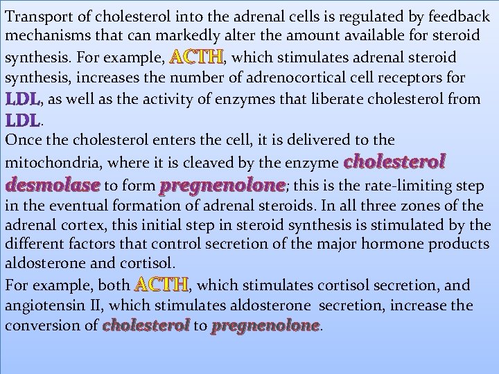 Transport of cholesterol into the adrenal cells is regulated by feedback mechanisms that can