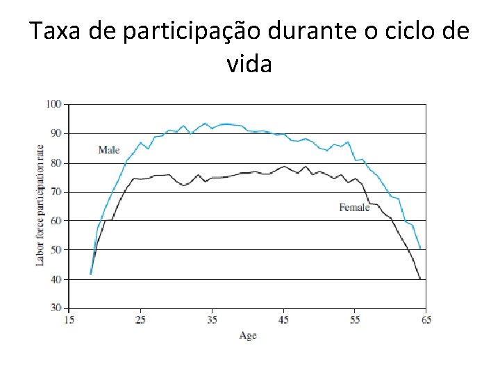 Taxa de participação durante o ciclo de vida 