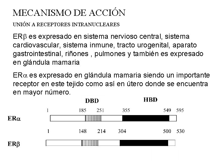 MECANISMO DE ACCIÓN UNIÓN A RECEPTORES INTRANUCLEARES ER es expresado en sistema nervioso central,