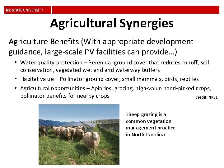 Agricultural Synergies Agriculture Benefits (With appropriate development guidance, large-scale PV facilities can provide…) •