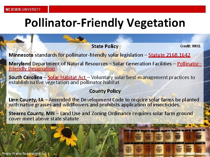 Pollinator-Friendly Vegetation State Policy Credit: NREL Minnesota standards for pollinator-friendly solar legislation – Statute