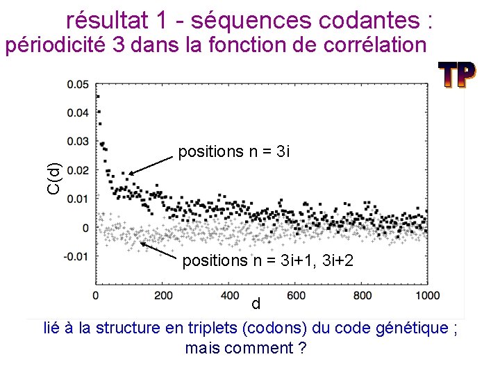 résultat 1 - séquences codantes : périodicité 3 dans la fonction de corrélation C(d)