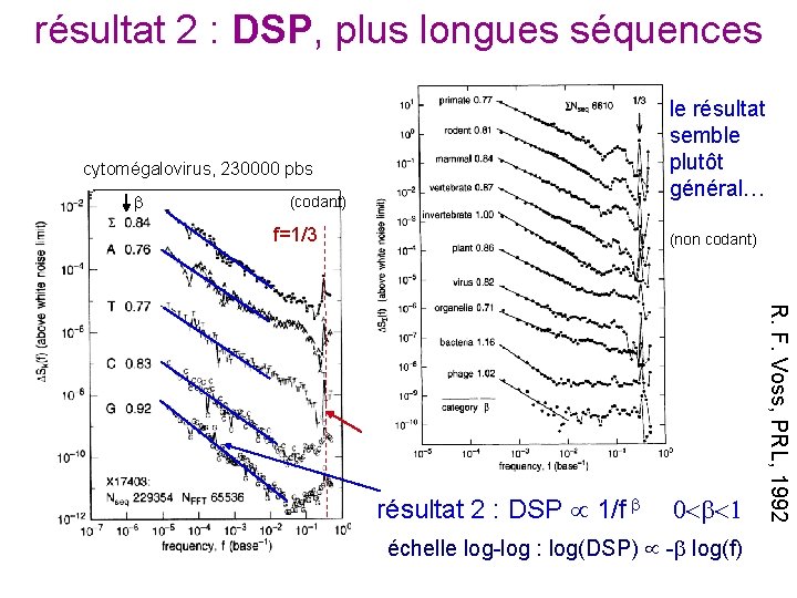 résultat 2 : DSP, plus longues séquences cytomégalovirus, 230000 pbs (codant) f=1/3 le résultat