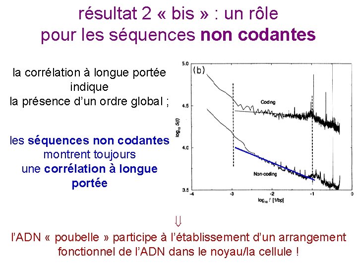 résultat 2 « bis » : un rôle pour les séquences non codantes la