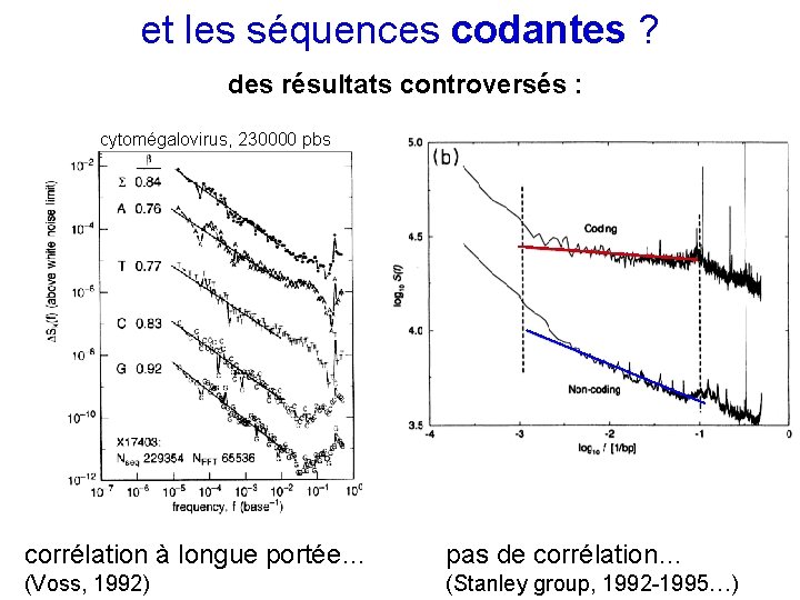 et les séquences codantes ? des résultats controversés : cytomégalovirus, 230000 pbs corrélation à