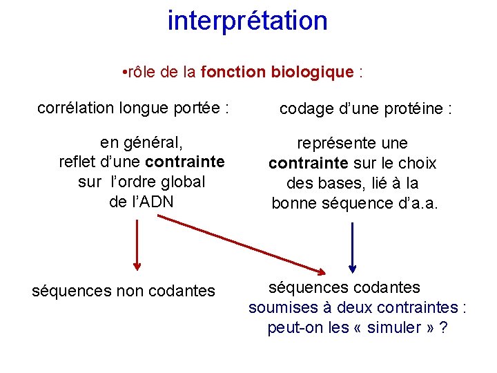 interprétation • rôle de la fonction biologique : corrélation longue portée : en général,