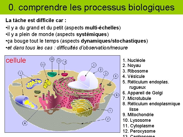 0. comprendre les processus biologiques La tâche est difficile car : • il y