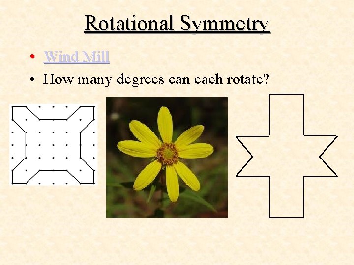 Rotational Symmetry • Wind Mill • How many degrees can each rotate? 