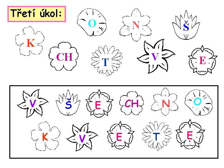 Třetí úkol: O N Š K CH V T Š K V CH E