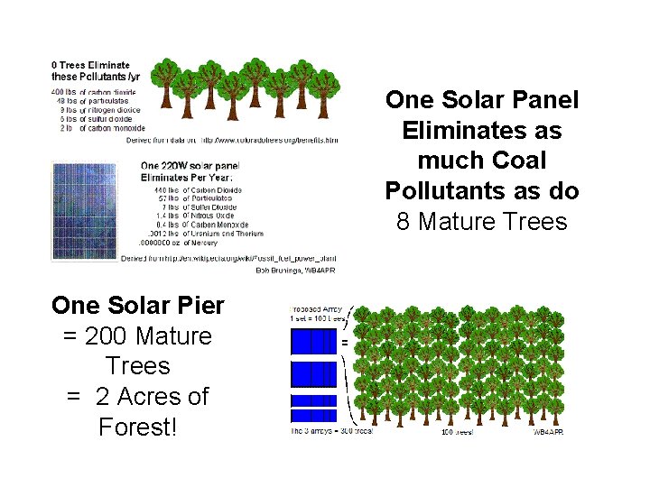 One Solar Panel Eliminates as much Coal Pollutants as do 8 Mature Trees One